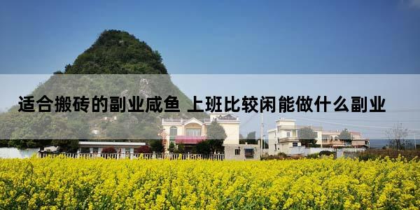 适合搬砖的副业咸鱼 上班比较闲能做什么副业